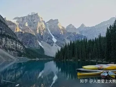 WNBA直播_WNBA体育直播比赛免费观看_WNBA体育直播平台